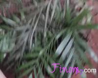 A növény öntözése - xtube porn video - peachypee.mp4